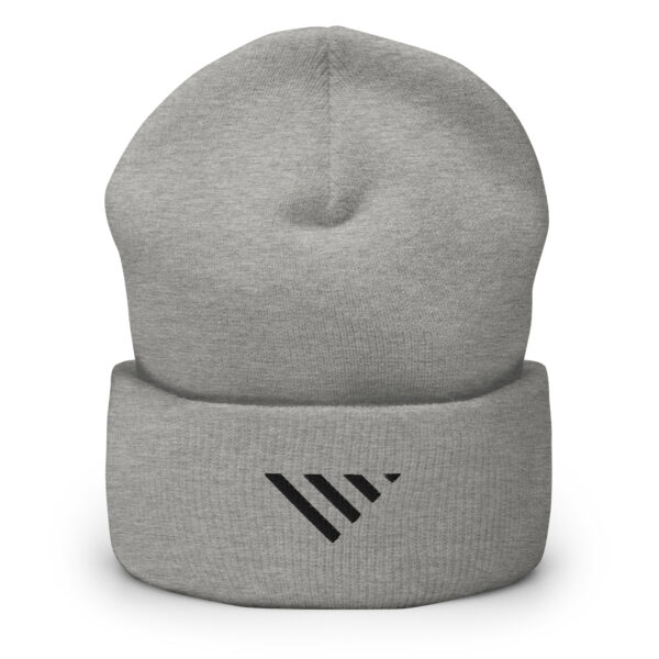 Volta Cuffed Beanie